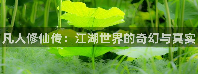 91动漫下载网站